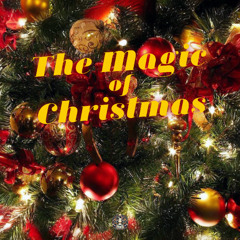 Silent Night Gleaming