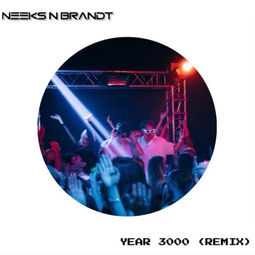 Jonas Brothers - Year 3000 (NEEKS N BRANDT Remix)