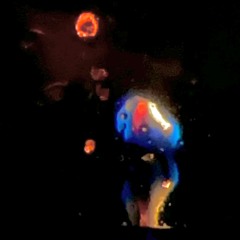bluparti.wav08_SEMOA