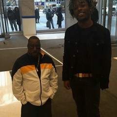 Bye Bye Birdie - lil uzi