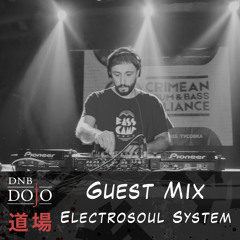 Guest Mix: Electrosoul System