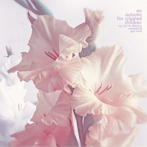 The Woods Are On Fire