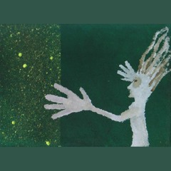 Orch Collage - Waste the Real