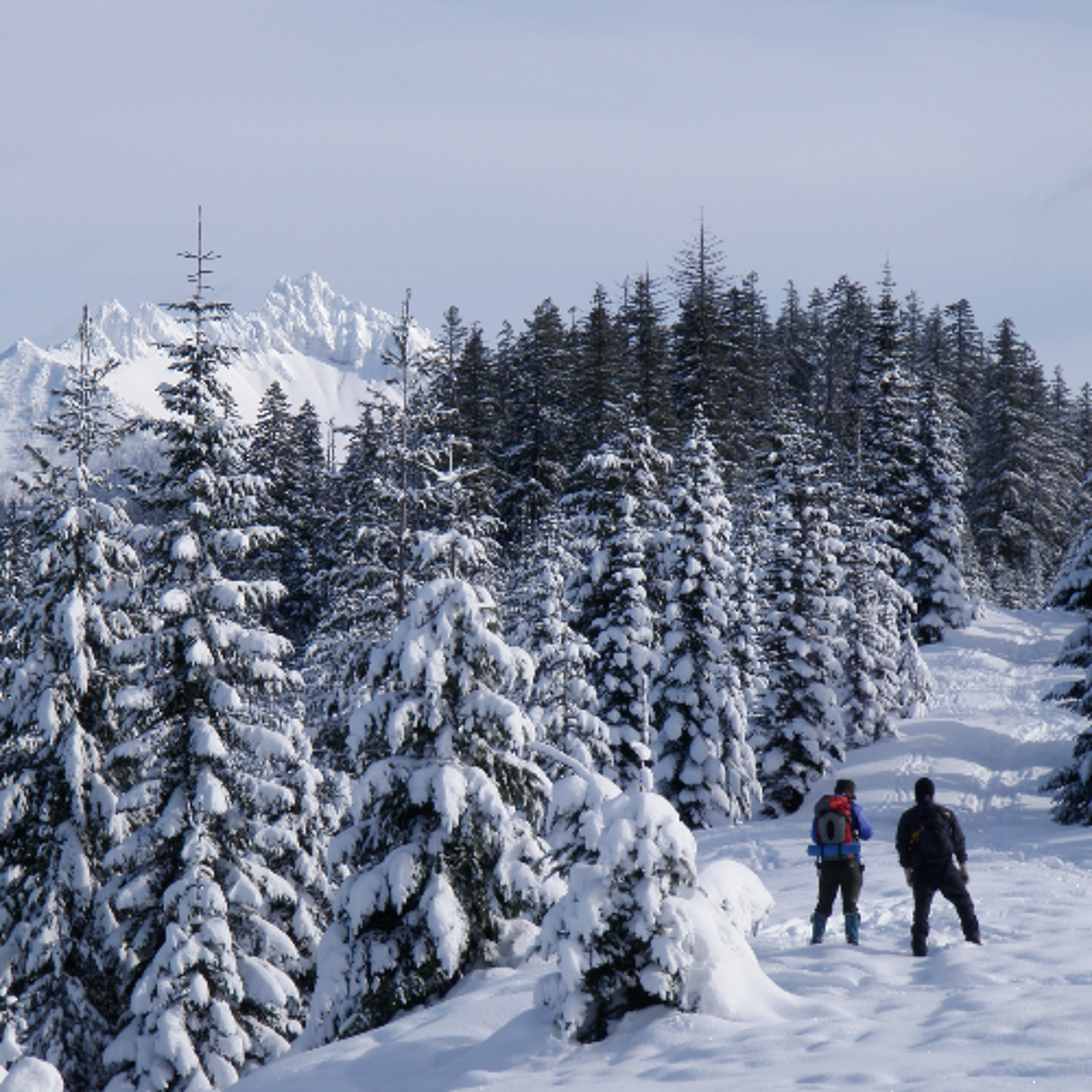 Explore Oregon Podcast: The state\'s most beautiful places and biggest issues