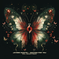 JayDee Martin - Waiting for You [Journey of the Soul]