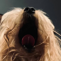 Riesgo - Tomarte un tiempo