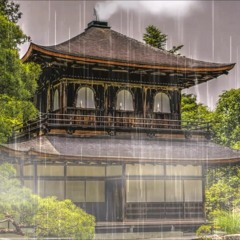 Japan Night - Pleasure