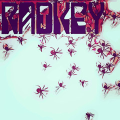 Spiders