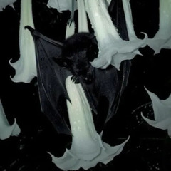 bby why u avoidin me (cuzov)