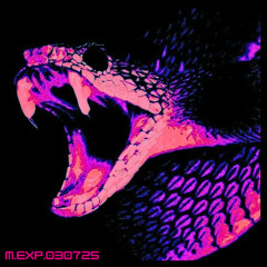M.EXP.030725