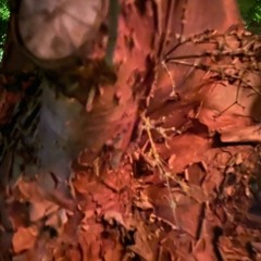 Great soft songs from loud bands