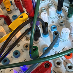 Feedback study 112125