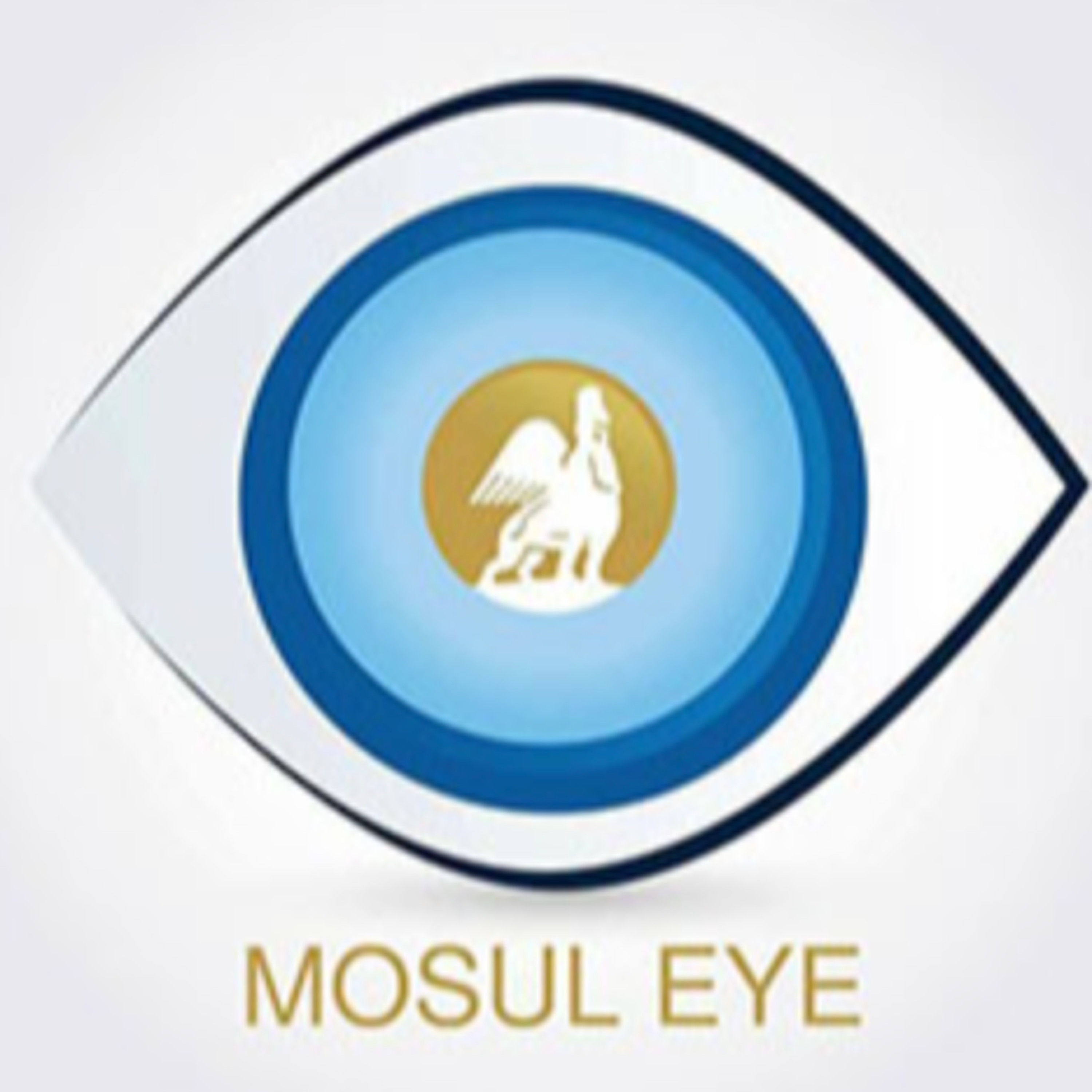 Writing History As Resistance and Defiance: Mosul Eye episode artwork