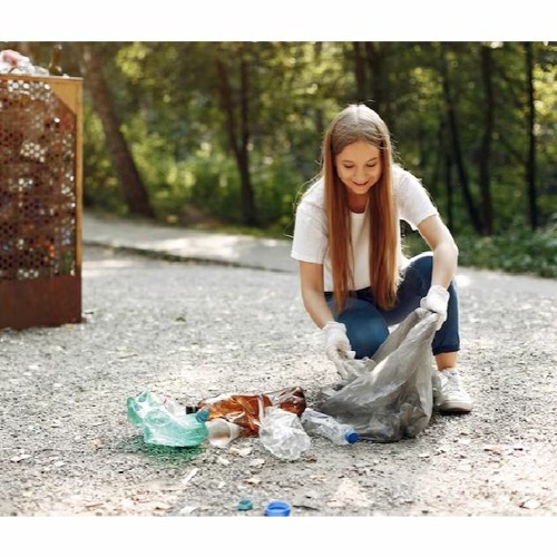 Stream How to Properly Dispose of Pet Waste? by Pawpail Listen online