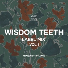 Wisdom Teeth Label Mix - Vol 1 - Mixed by K-LONE