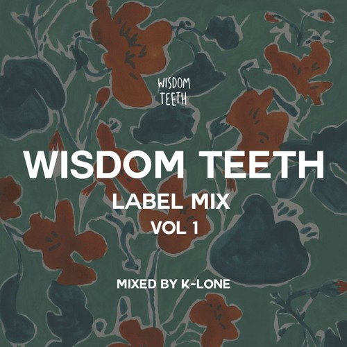 Wisdom Teeth Label Mix - Vol 1 - Mixed by K-LONE