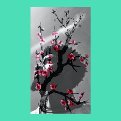 Arizona (prod. Gulley)