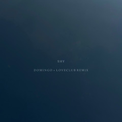 Premiere: PIANIKA - Shy (Domingo + Loveclub Remix) [NIKAU]