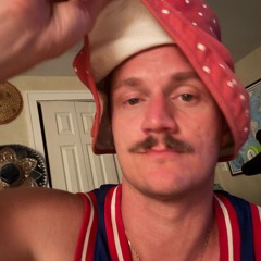 Toxic acoustic guitar cover