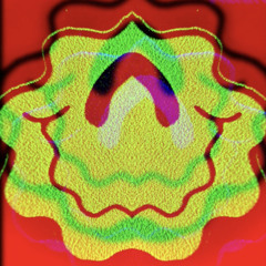 Funky Mushroom