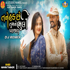 Tane Hak Che Tu Mane Bhuli Pan Jay (DJ Remix)