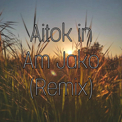 Aitok In Am Jako (Remix)