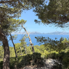 Early Summer House