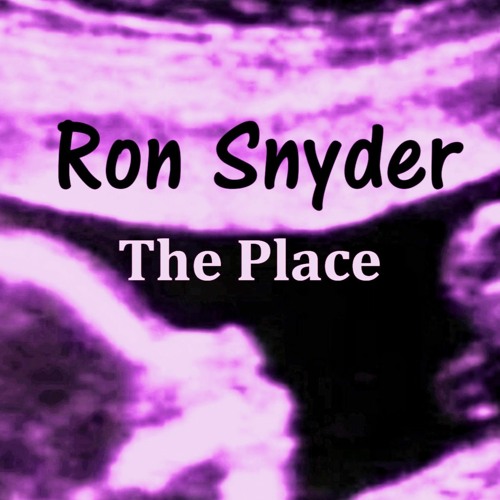 Ron Snyder - THE PLACE