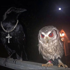 Headaxhe + Thouxantos