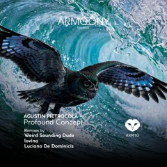 PREMIERE| Agustin Pietrocola - Profound Concept (Luciano De Dominicis Remix)