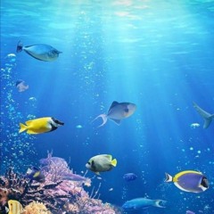 VV$DIAMOND$ (Prod. cvs)