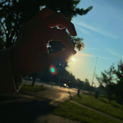 Котенок (demo)