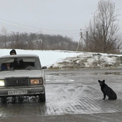 дым (prod. and3rdog, FONFORINO)