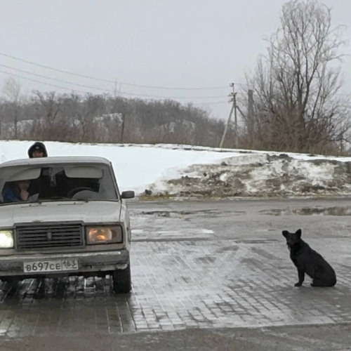 дым (prod. and3rdog, FONFORINO)