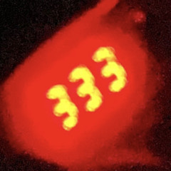 Gwap w Bando (Dolamyte + Reivil)