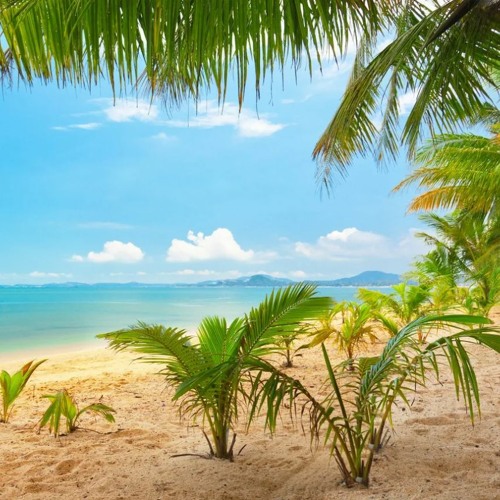 Analógico audio background process DOWNLOAD