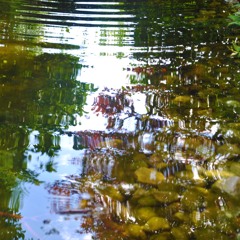 ripples