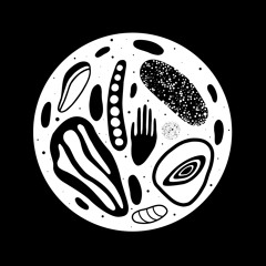 Pedro Martins - Zoet