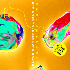 DJs Pareja - Perfecto Radar (The Carry Nation Remix)