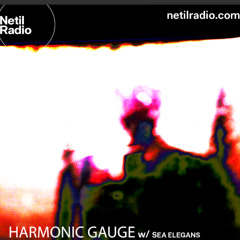 Harmonic Gauge w/ Sea Elegans - 23rd September 2025