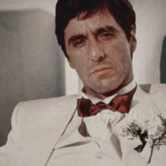 Тони + ФортXXIII