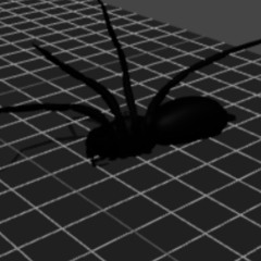 after effects
