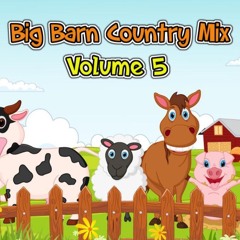 Big Barn Country Mix, Volume 5 (VOL 8 OUT)