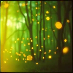 COUNTRY HIT - LE LUCCIOLE CANTANO - CANZONI DEL BOSCO - RELEASE - Betelgeusae