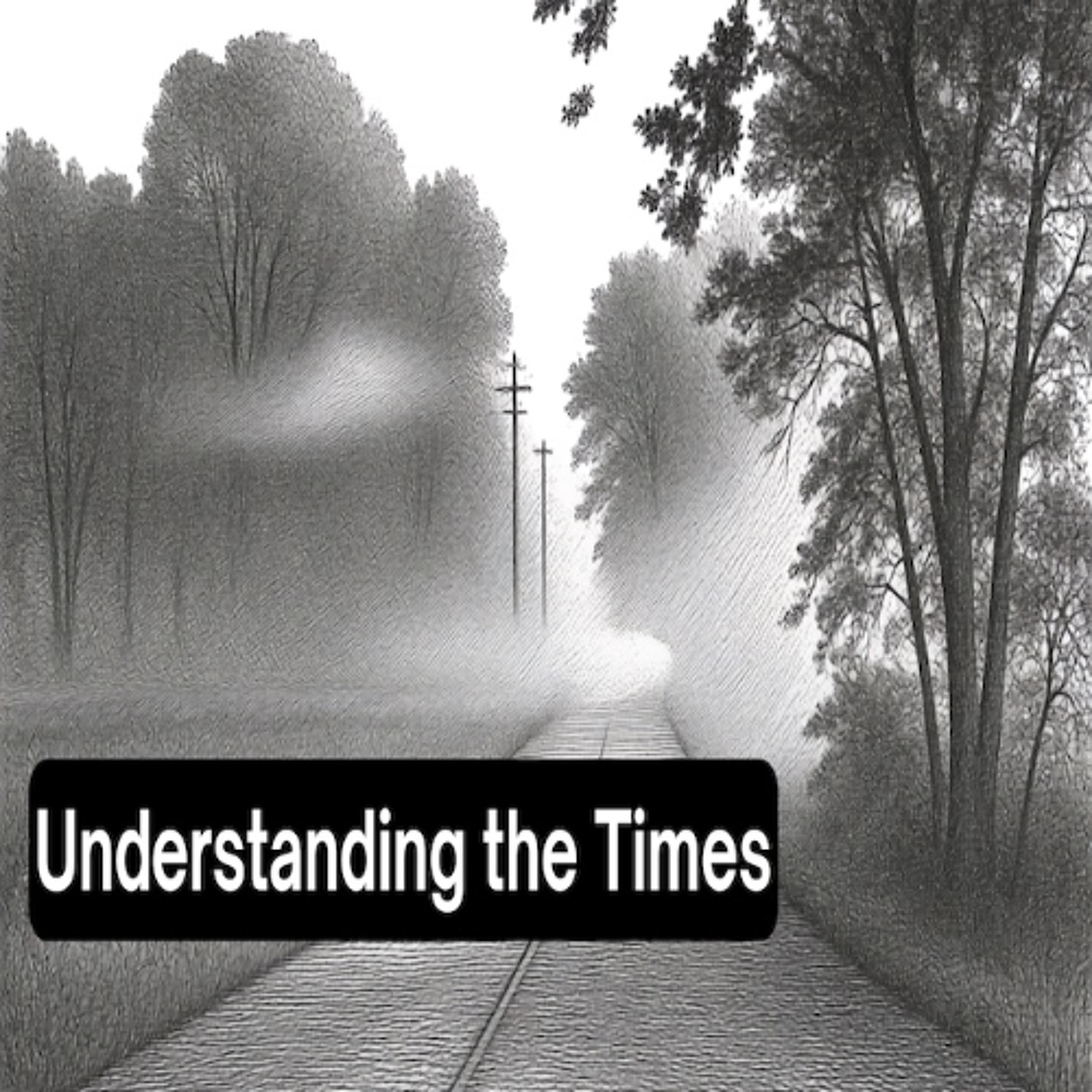 Understanding the Times #1 - Apr 12, 2026 - W. Shannon Potter episode artwork