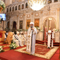 عظة قداسة البابا تواضروس الثاني في قداس أحد الشعانين بالكاتدرائية المرقسية بالإسكندرية 13-04-2025