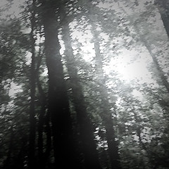 weird beat i made on fl mobile