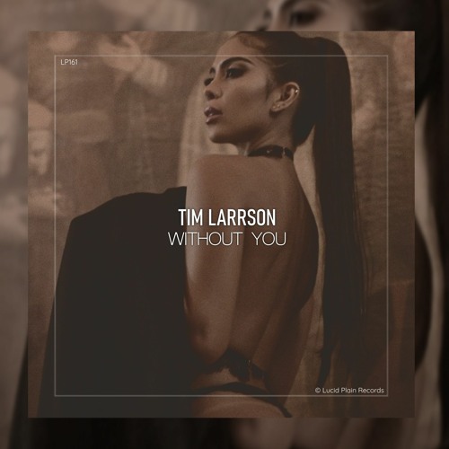 Tim Larrson - Without You