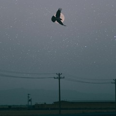 Nadaan Parinday - Progressive House Rework