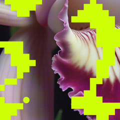 Milio - Erosie (Gregor Tresher Remix)